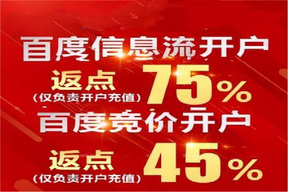 SEM推广案例：电商流量提升策略